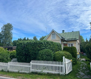 Pensaiden leikkaus Helsingissä
